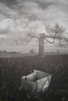 Jerry Uelsmann - Salems Lot 06 - obrazek