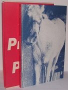My Pretty Pony (Knopf) książka i etui
