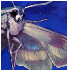 Rick Berry - Black House - Night Moth - obrazek