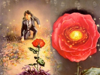 Ned Dameron - The Rose - obrazek