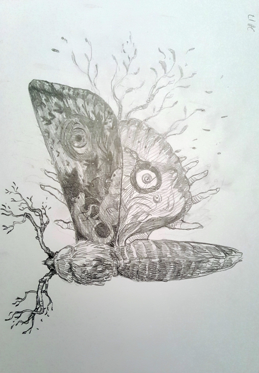 "Moth" szkic ilustracji do wydania limitowanego powieĹci "Sleeping Beauties" - obrazek