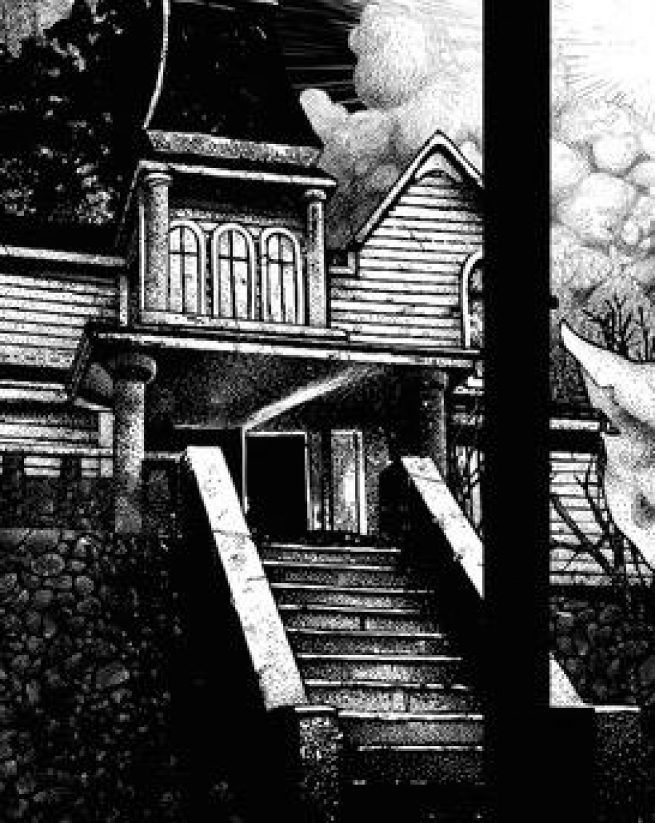 "'Salem's Lot" - przykĹadowa ilustracja - obrazek